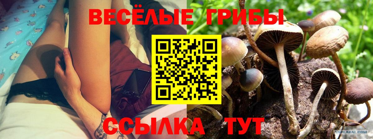 Галлюциногенные грибы мицелий Петрозаводск