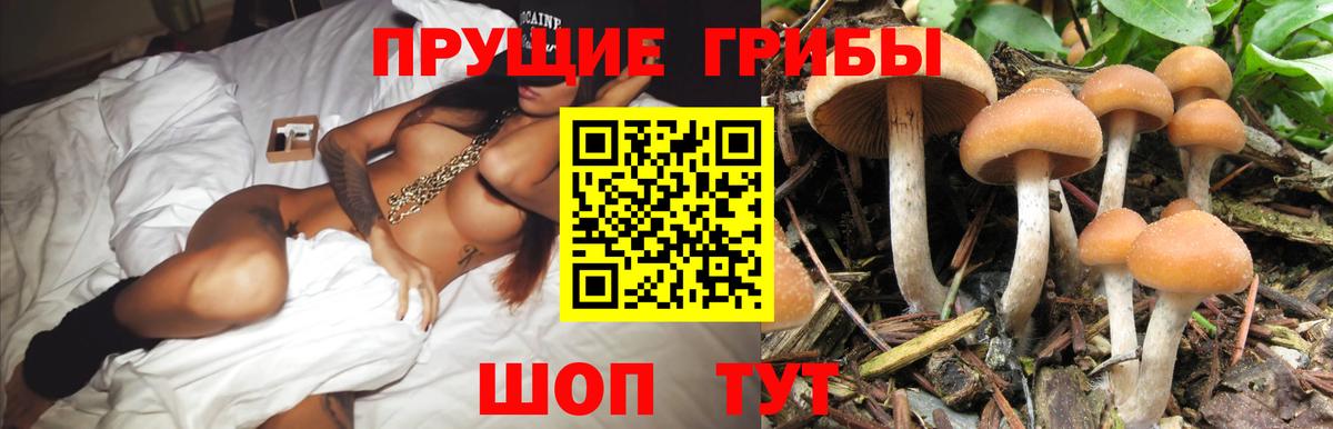 Псилоцибиновые грибы GOLDEN TEACHER  Галлюциногенные грибы ЛСД  Вход с VPN  Петрозаводск 